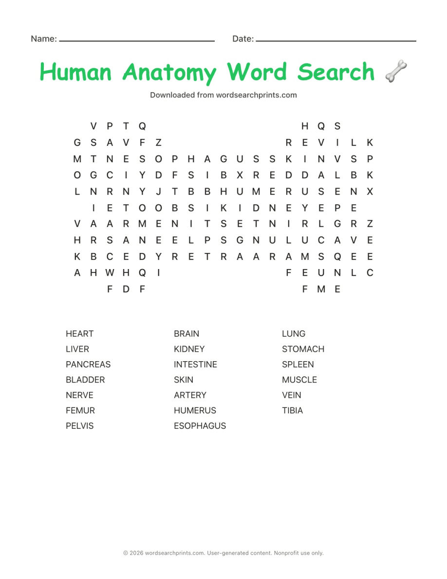 Human Anatomy Word Search
